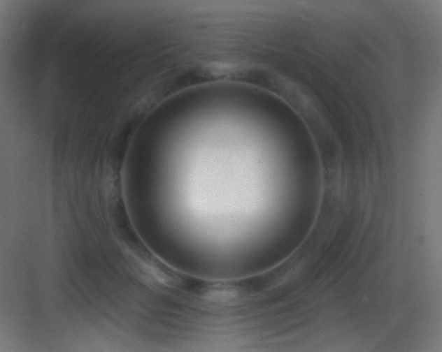 X0000083530653200702091007