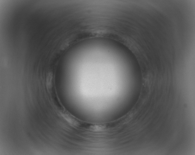 X0000083530660200702091008