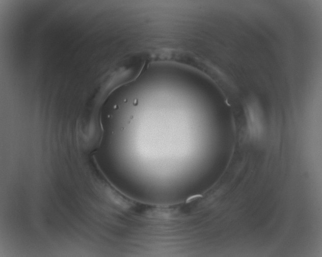 X0000083530661200702091008