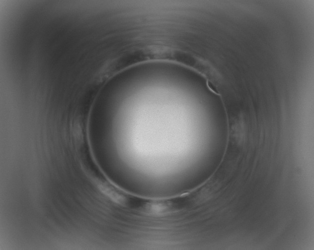 X0000083530662200702091008