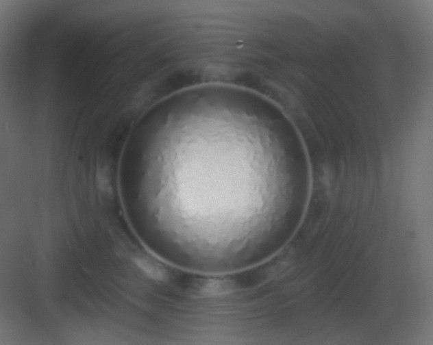 X0000083530663200702091008