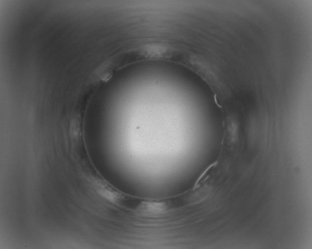 X0000083530665200702091008