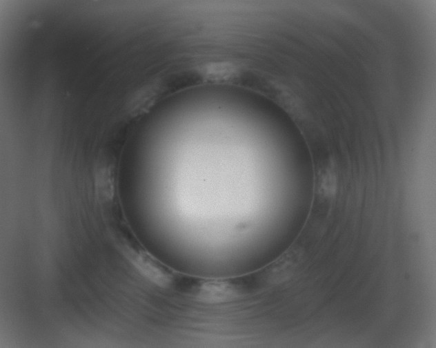 X0000083530666200702091008