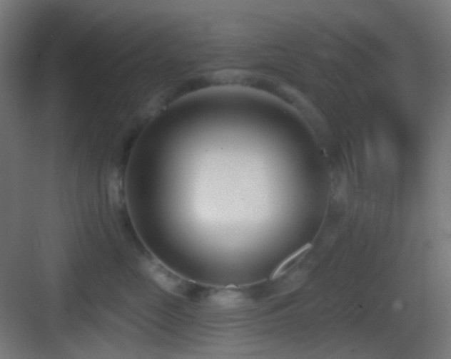 X0000083530669200702091008