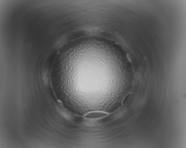 X0000083530671200702091008