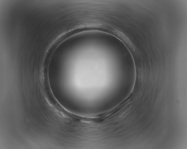 X0000083530676200702091007