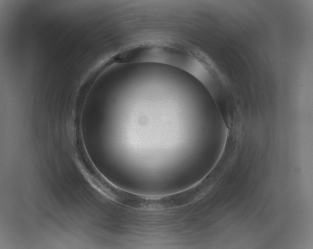 X0000083530677200702091007
