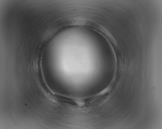 X0000083530681200702091007