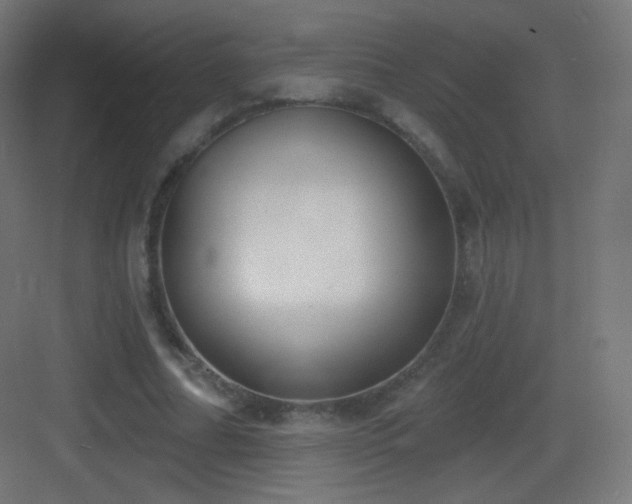 X0000083530682200702091007