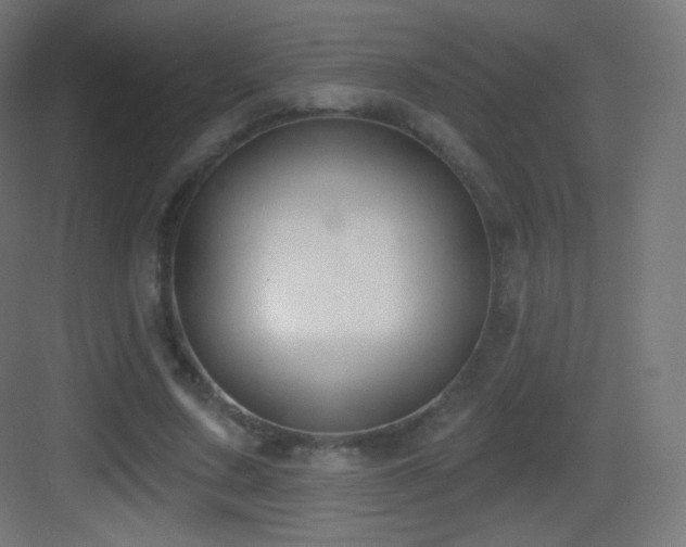 X0000083530683200702091007