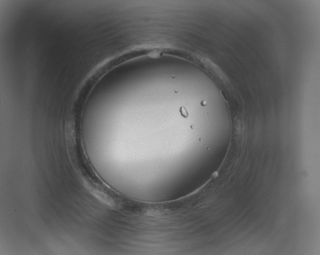 X0000083530684200702091007