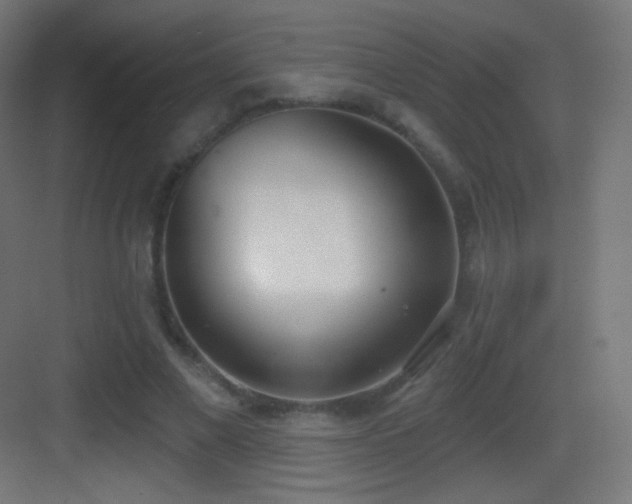 X0000083530685200702091007
