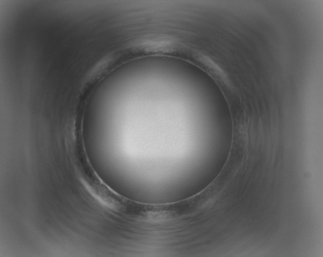 X0000083530686200702091007