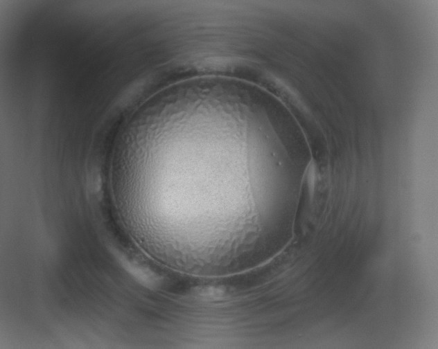 X0000083530687200702091007
