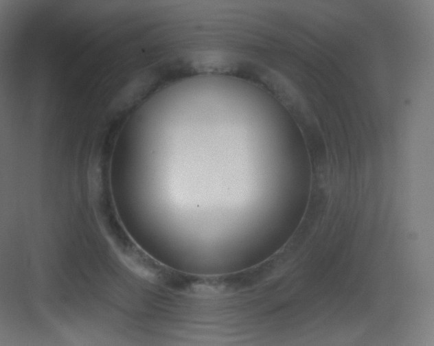 X0000083530690200702091007