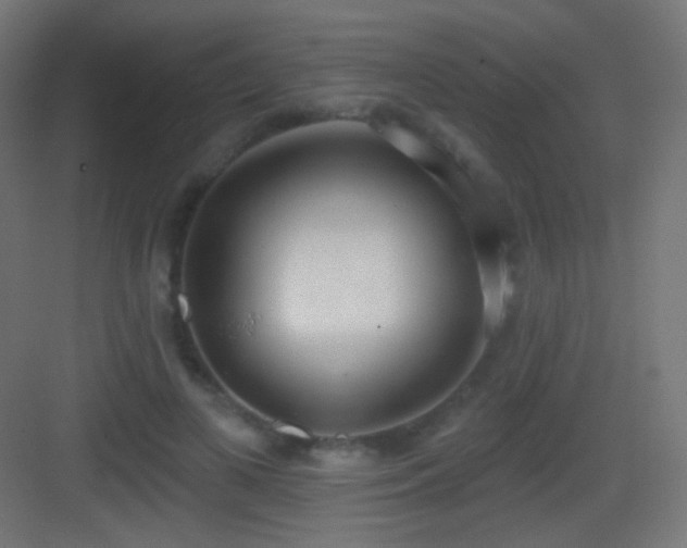 X0000083530693200702091007