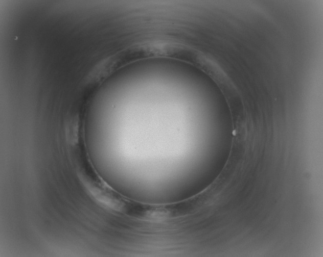 X0000083530694200702091007