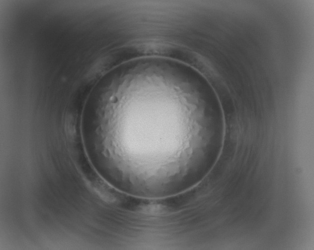 X0000083530695200702091007