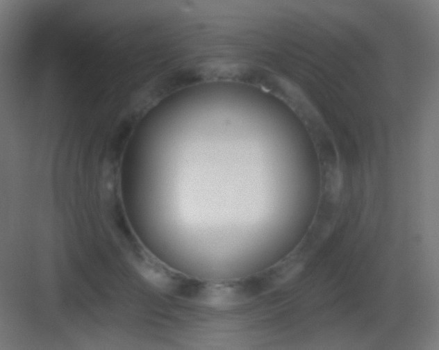 X0000083530701200702091006