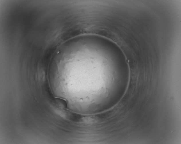 X0000083530703200702091006