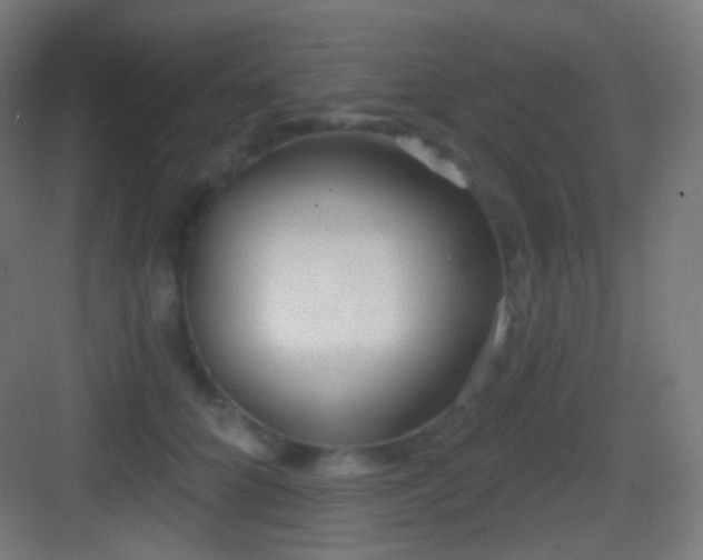 X0000083530704200702091006