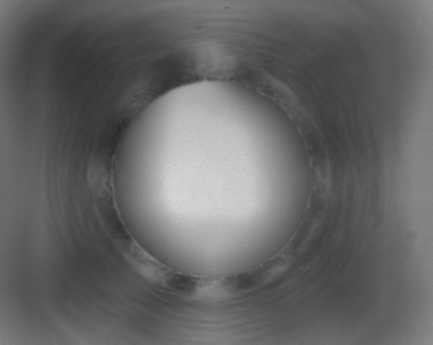 X0000083530705200702091006