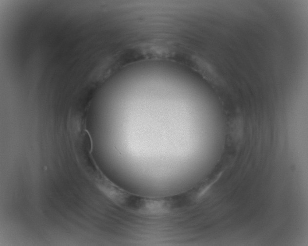 X0000083530709200702091006