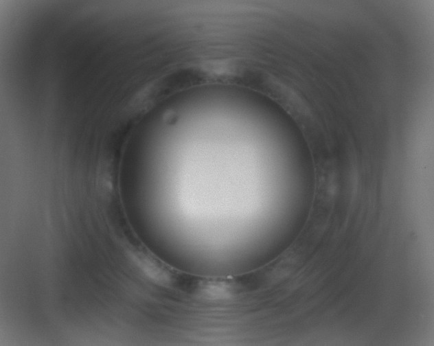 X0000083530710200702091006