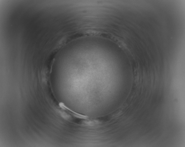 X0000083530712200702091006