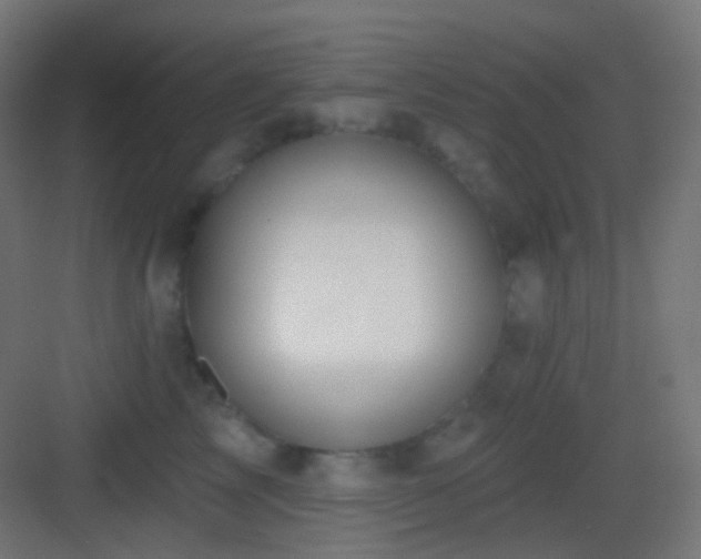X0000083530713200702091006