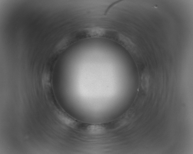 X0000083530714200702091006