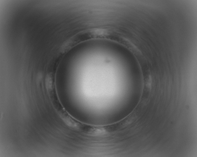 X0000083530715200702091006