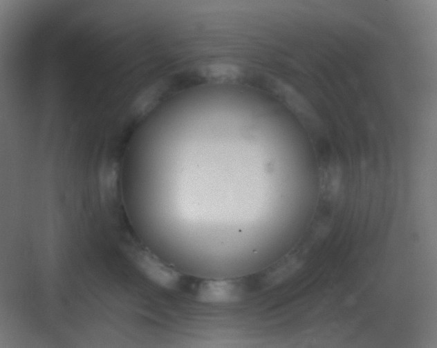 X0000083530717200702091006
