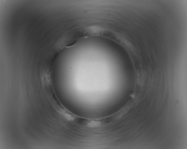 X0000083530718200702091006