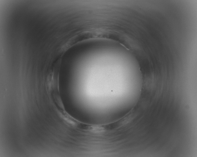 X0000083530719200702091006