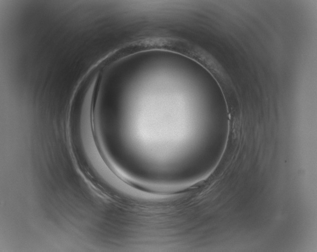 X0000083530722200702091005