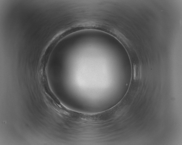 X0000083530723200702091005