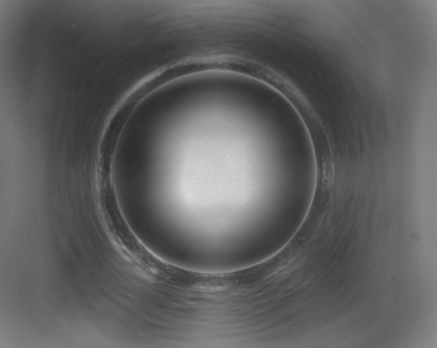 X0000083530724200702091005