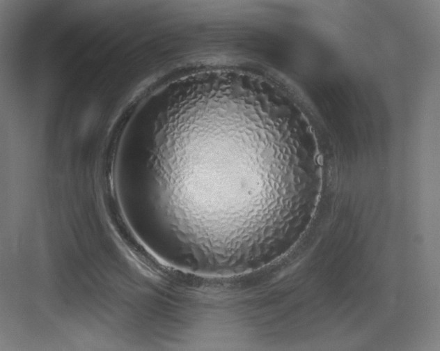 X0000083530725200702091005