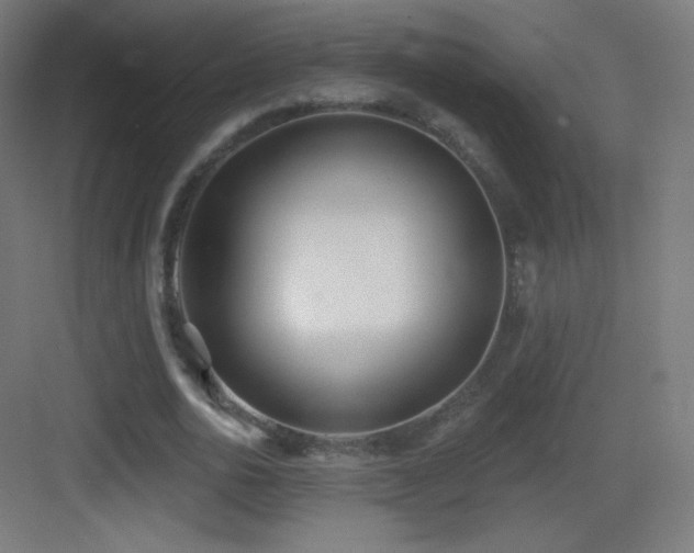 X0000083530726200702091005