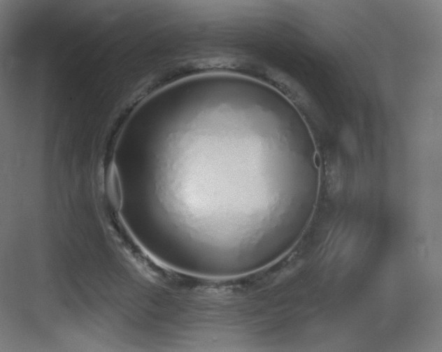 X0000083530729200702091005