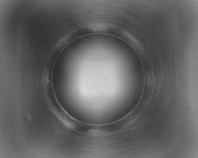 X0000083530733200702091006