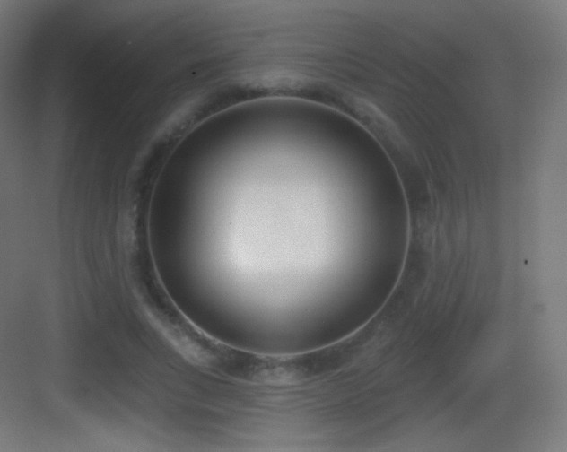X0000083530735200702091006