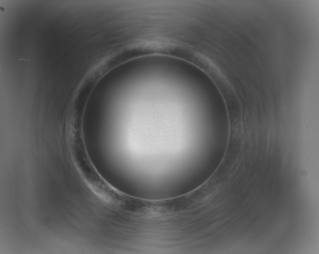 X0000083530736200702091006