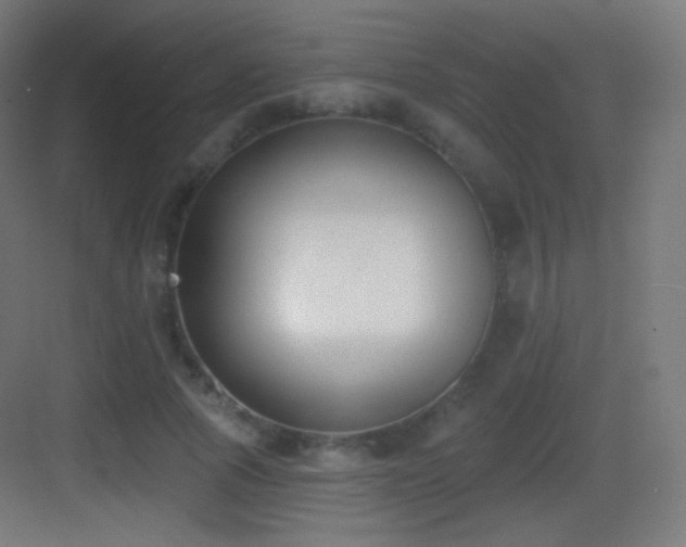 X0000083530737200702091006