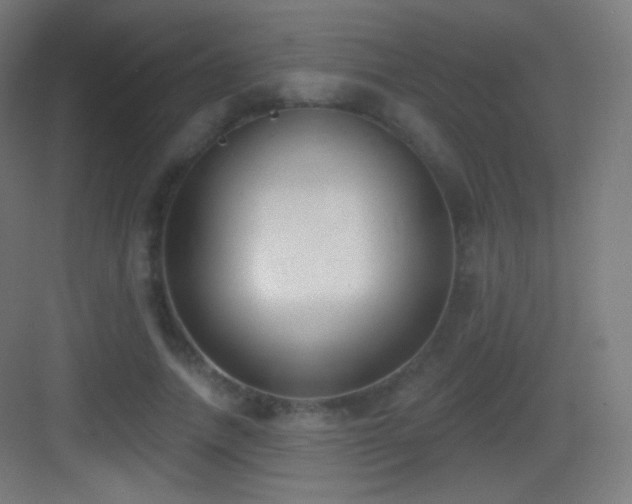 X0000083530738200702091006
