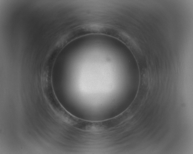 X0000083530739200702091006