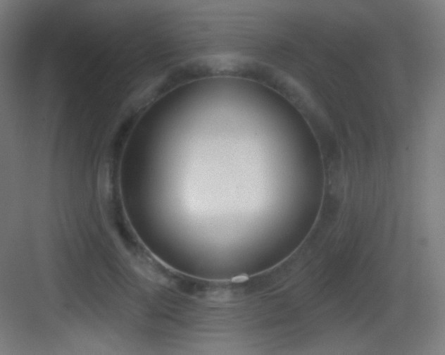 X0000083530740200702091006