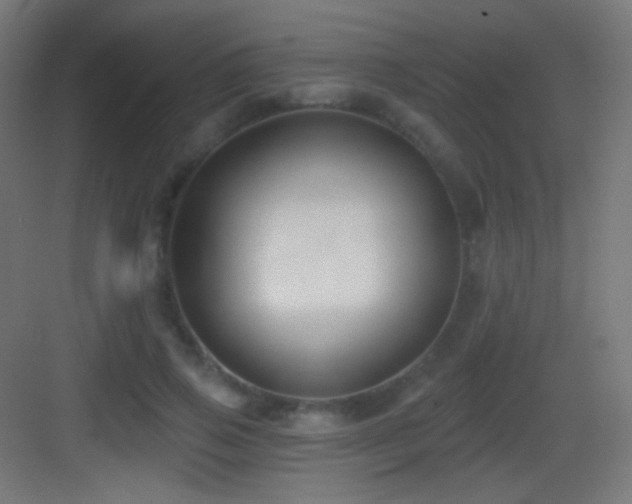 X0000083530741200702091006