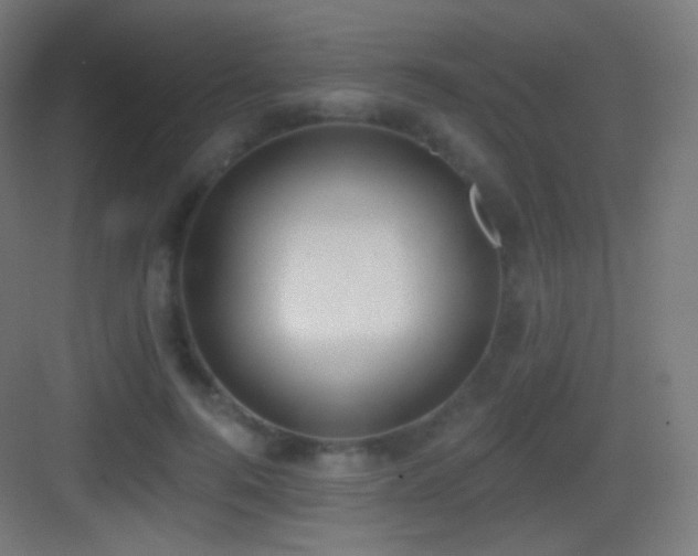 X0000083530744200702091006